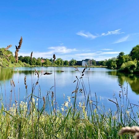 Ferienwohnung Harzurlaub Goslar Dış mekan fotoğraf