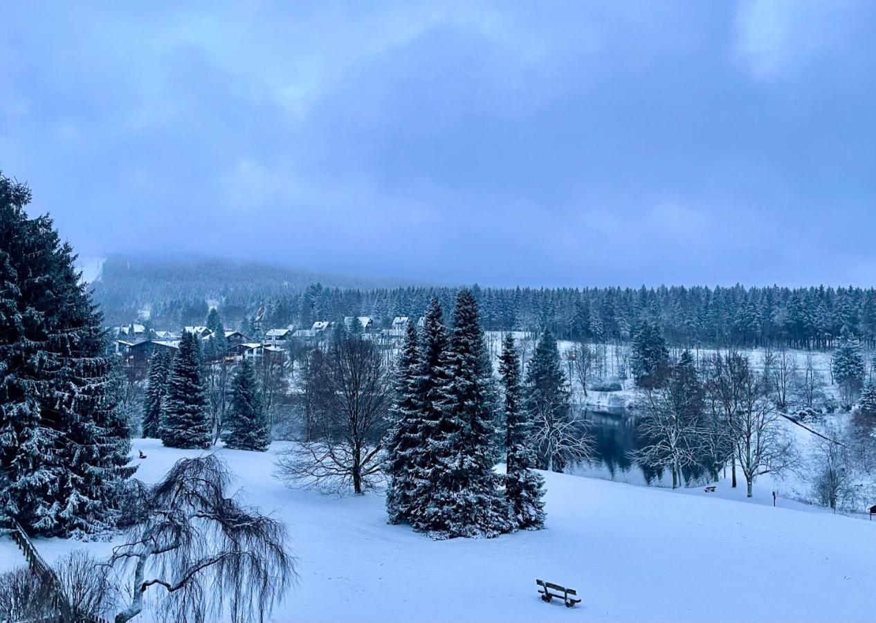 Ferienwohnung Harzurlaub Goslar Dış mekan fotoğraf